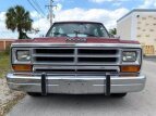 Thumbnail Photo 39 for 1989 Dodge Ramcharger